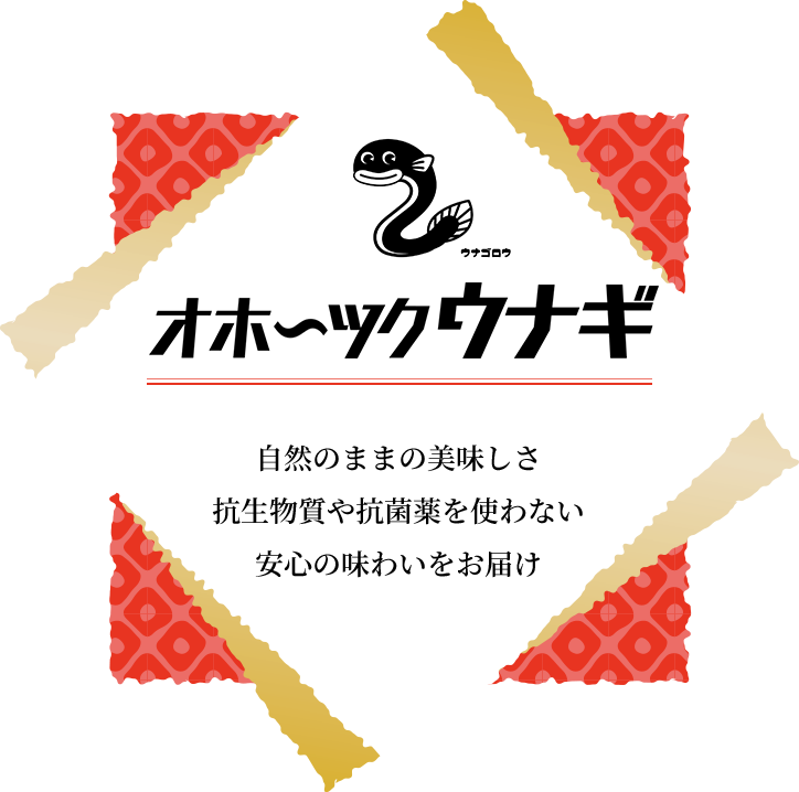 オホーツクウナギ 自然のままの美味しさ 抗生物質や抗菌薬を使わない 安心の味わいをお届け